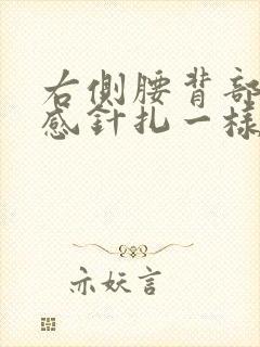 右侧腰背部刺痛感针扎一样