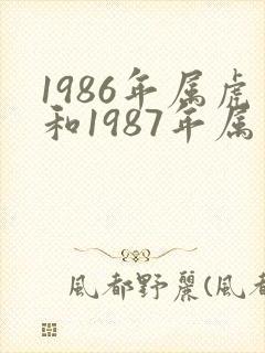 1986年属虎和1987年属兔婚姻