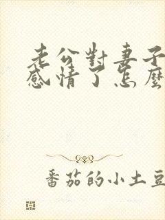 老公对妻子没有感情了怎么办