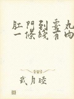 肛门到睾丸中间一条线有肉粒