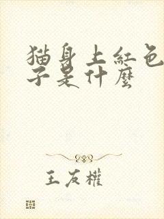 猫身上红色的虫子是什么