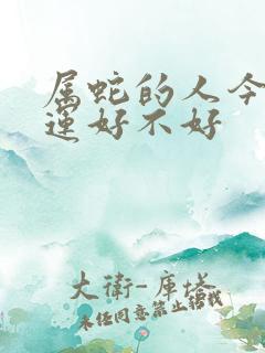 属蛇的人今年财运好不好