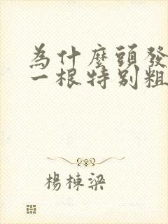 为什么头发会有一根特别粗特别硬的