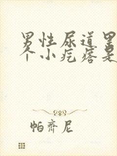 男性尿道里有一个小疙瘩是怎么回事