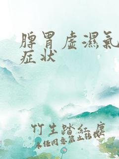 脾胃虚湿气重的症状