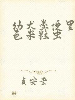 幼犬粪便里有白色米粒虫