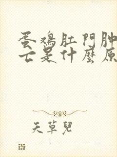 蛋鸡肛门肿胀死亡是什么原因