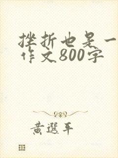 挫折也是一种美作文800字