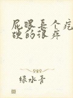 屁眼长个疙瘩硬硬的很疼