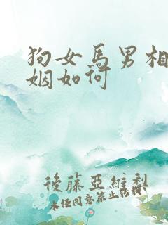 狗女马男相配婚姻如何