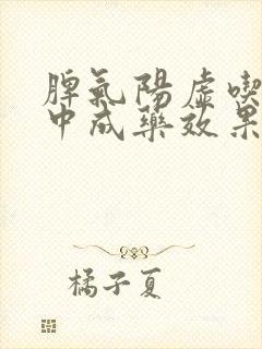 脾气阳虚吃什么中成药效果好呢