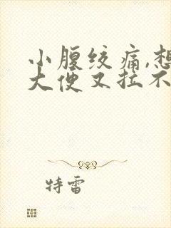 小腹绞痛,想拉大便又拉不出来是什么原因