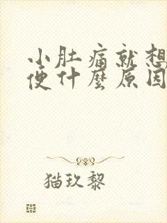 小肚痛就想拉大便什么原因