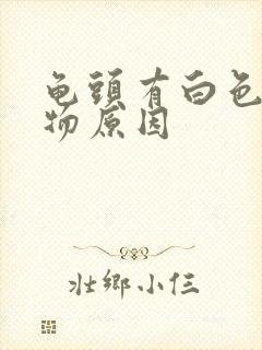 龟头有白色脓状物原因