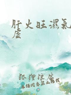 肝火旺湿气重脾虚