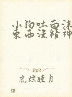 小狗吐白沫不吃东西没精神怎么办