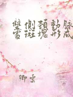 双侧颈动脉分叉处斑块形成