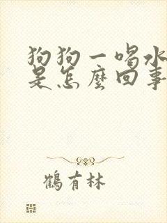 狗狗一喝水就尿是怎么回事