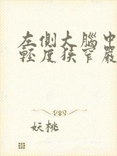 左侧大脑中动脉轻度狭窄严重吗