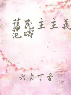 旧民主主义革命范畴