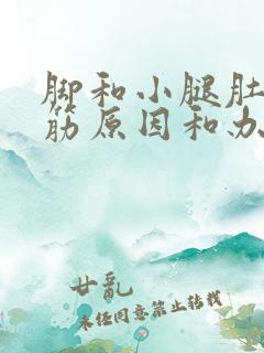 脚和小腿肚子抽筋原因和办法