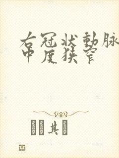 右冠状动脉管腔中度狭窄