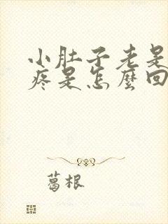 小肚子老是隐隐疼是怎么回事