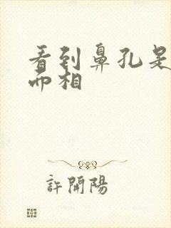 看到鼻孔是什么面相