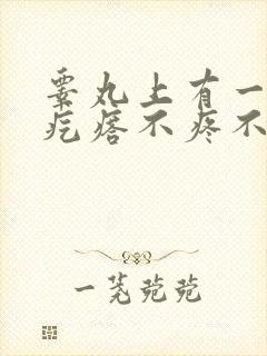 睾丸上有一个硬疙瘩不疼不痒