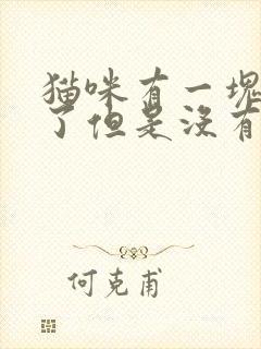 猫咪有一块毛秃了但是没有癣