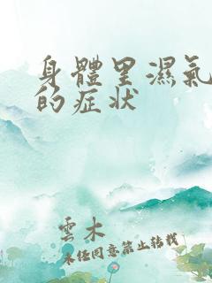 身体里湿气太重的症状