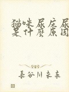 猫咪尿床尿沙发是什么原因