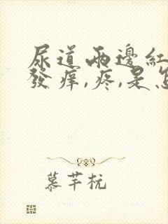 尿道两边红肿,发痒,疼,是怎么回事