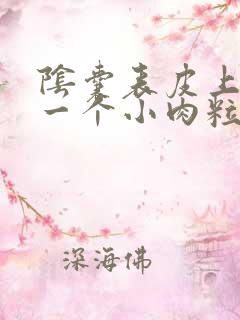 阴囊表皮上长了一个小肉粒