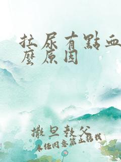 拉尿有点血是什么原因