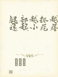 腿部越抓越痒,还起小疙瘩怎么办