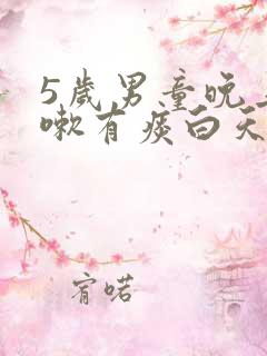 5岁男童晚上咳嗽有痰白天不怎么咳嗽