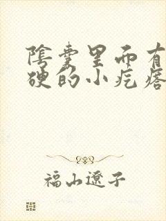 阴囊里面有个硬硬的小疙瘩