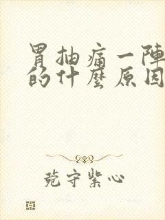 胃抽痛一阵一阵的什么原因