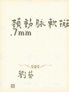 颈动脉软斑块1.7mm