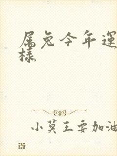 属兔今年运气怎样