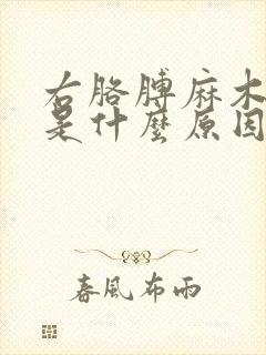 右胳膊麻木发胀是什么原因