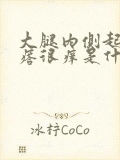 大腿内侧起小疙瘩很痒是什么原因