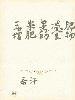 玉米是减肥还是增肥的食物