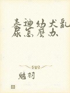 泰迪幼犬乱拉乱尿怎么办