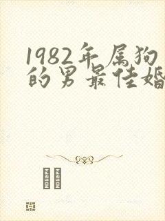 1982年属狗的男最佳婚配