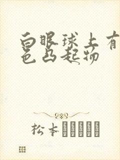 白眼球上有黄白色凸起物