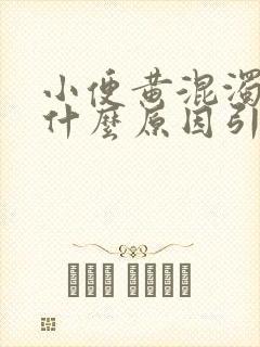 小便黄混浊男性什么原因引起的