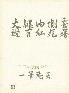 大腿内侧睾丸旁边有红疙瘩不痛不痒