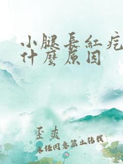 小腿长红疙瘩是什么原因